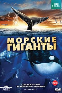 BBC: Морские гиганты